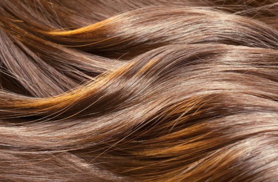 Large Salon Visual