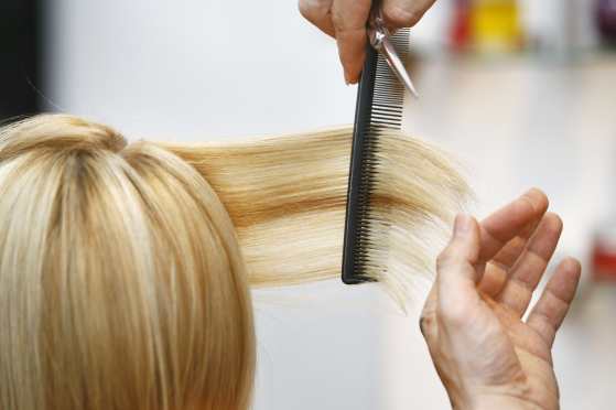 Small Salon Visual